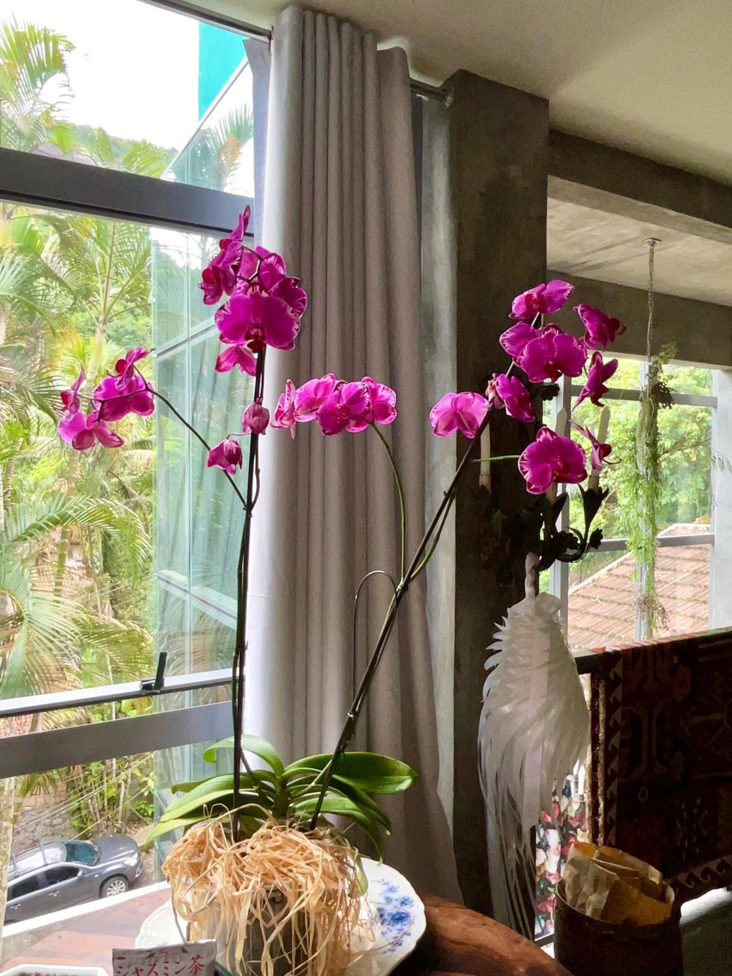 Emerald House * Rio de Janeiro